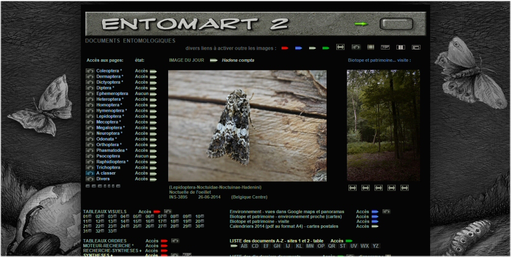 Entomart site 2