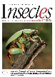 Insectes n 159