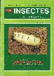 Insectes n 82